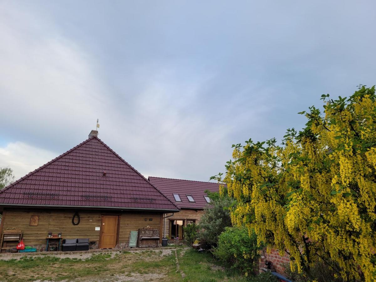 Dom Goscinny Ptaszarnia - Natura-Free Parking Swinoujscie Exterior photo