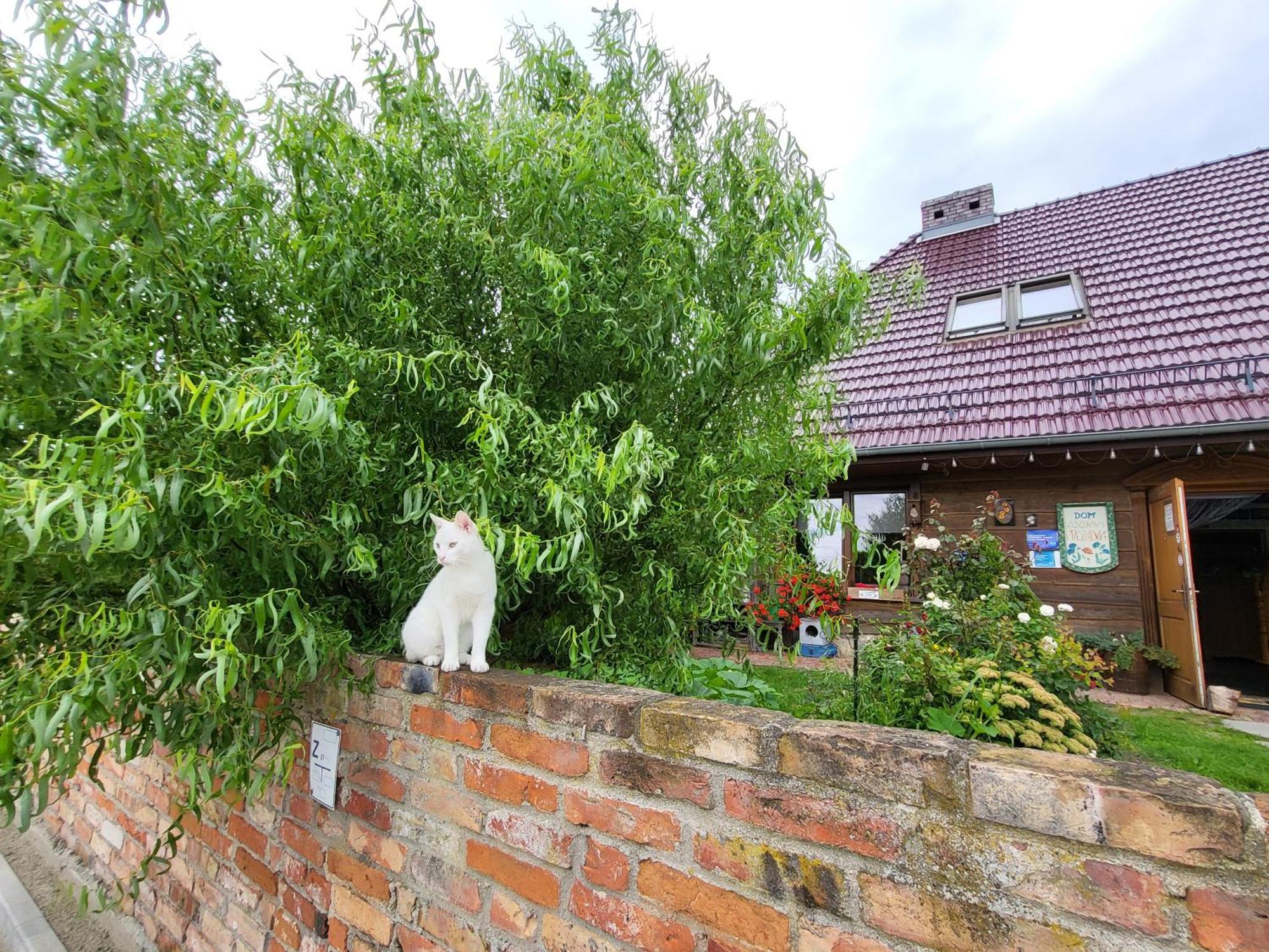 Dom Goscinny Ptaszarnia - Natura-Free Parking Swinoujscie Exterior photo